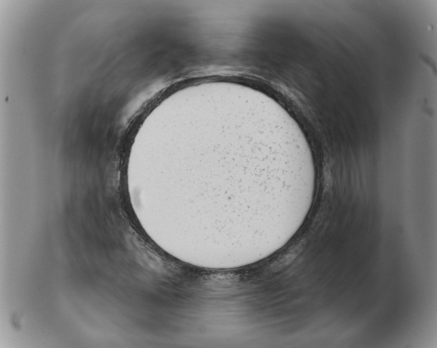 X0000102761406200809151004