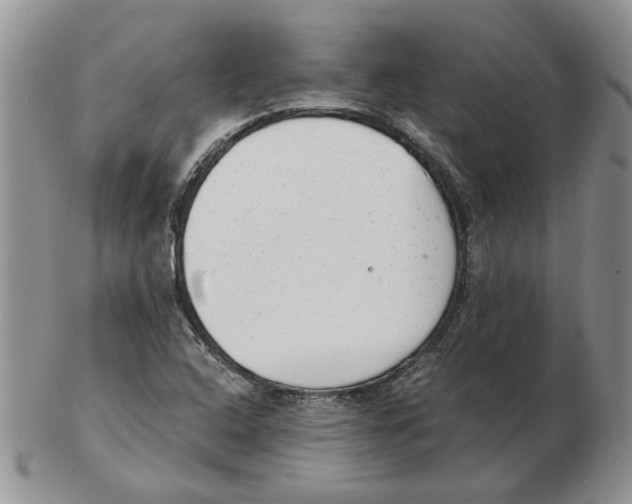 X0000102761408200809151004