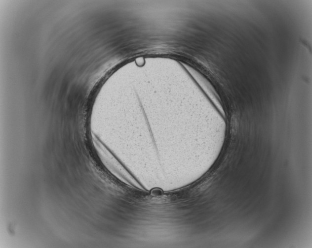 X0000102761410200809151004