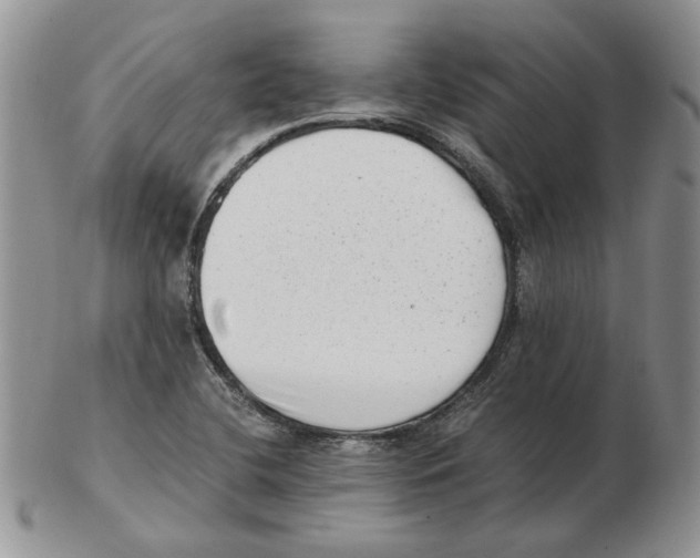 X0000102761412200809151004