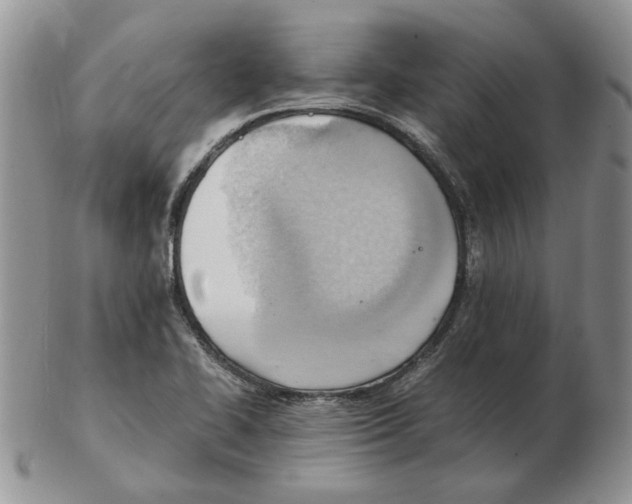 X0000102761414200809151004