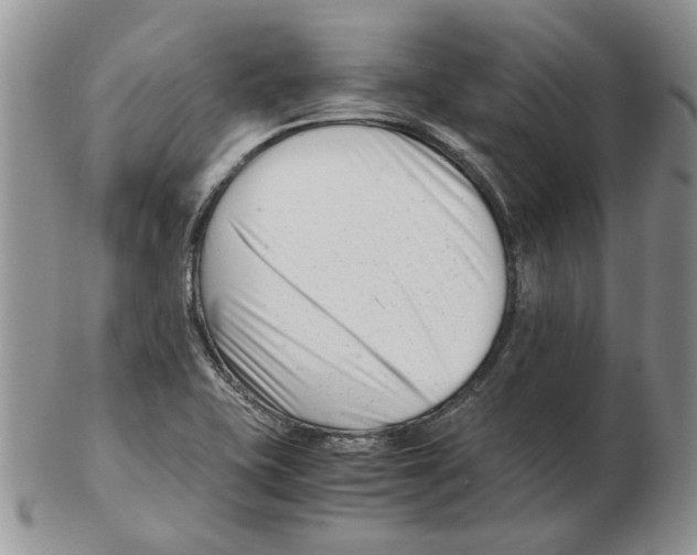 X0000102761415200809151004