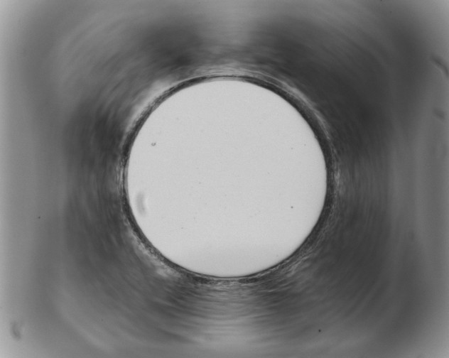 X0000102761416200809151004