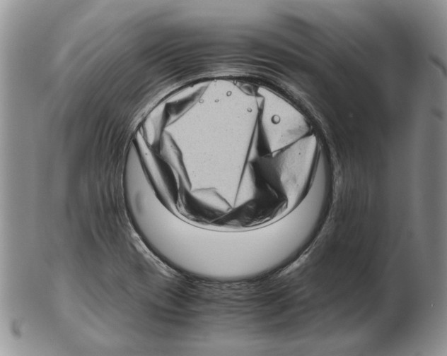 X0000102761417200809151004