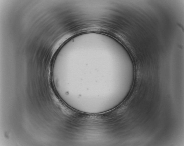 X0000102761418200809151004