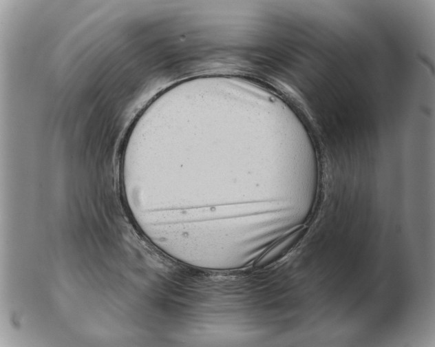 X0000102761419200809151004