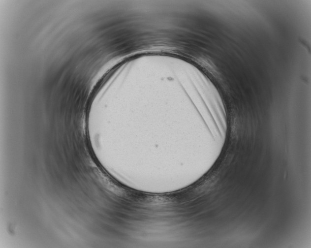 X0000102761420200809151004