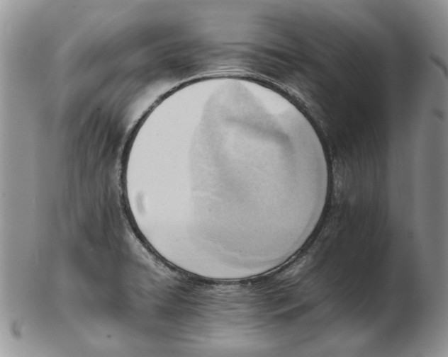 X0000102761422200809151004