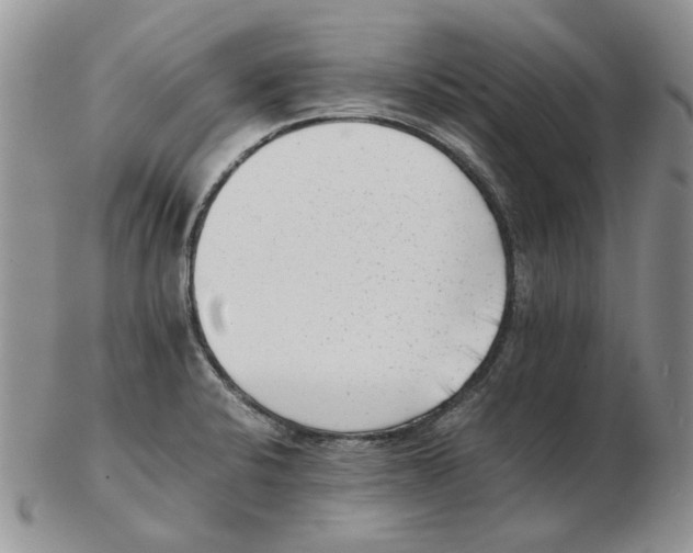 X0000102761424200809151004