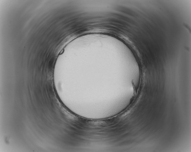 X0000102761425200809151004