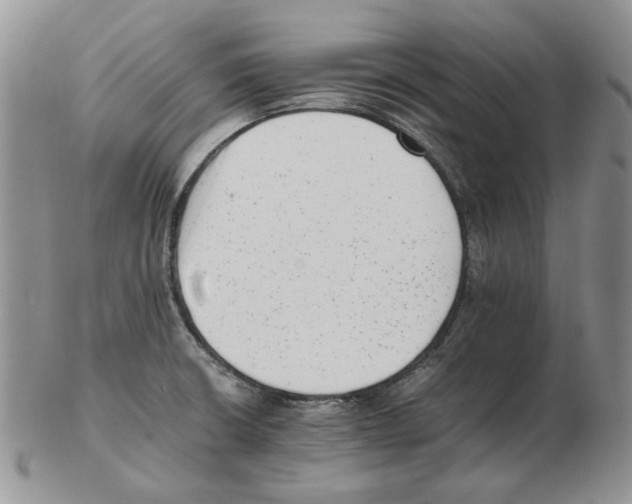 X0000102761426200809151004