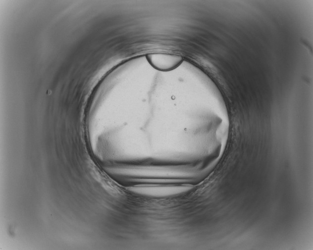 X0000102761427200809151004