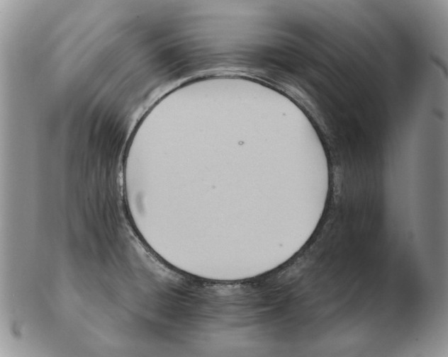 X0000102761428200809151004