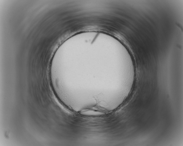 X0000102761429200809151004