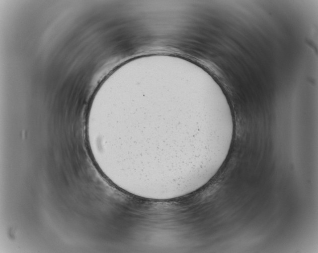 X0000102761430200809151004