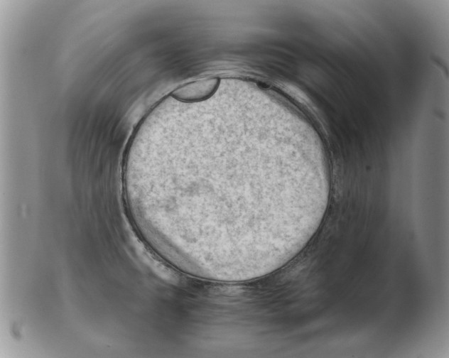 X0000102761431200809151004