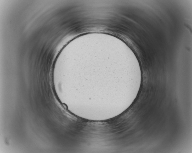 X0000102761432200809151004