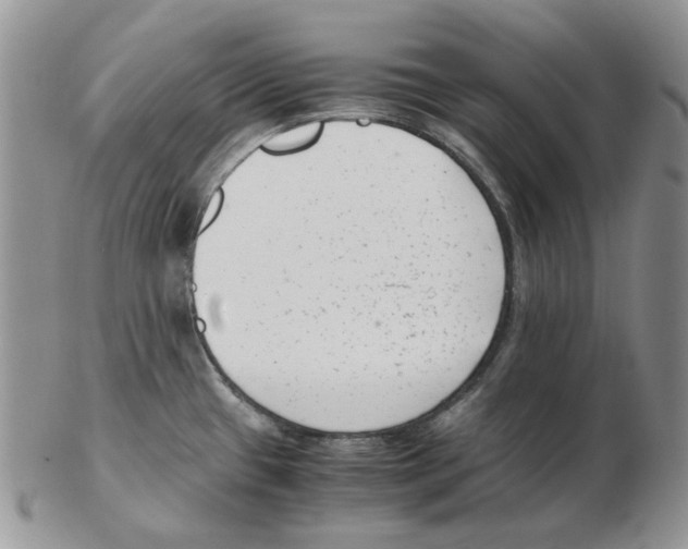 X0000102761433200809151004