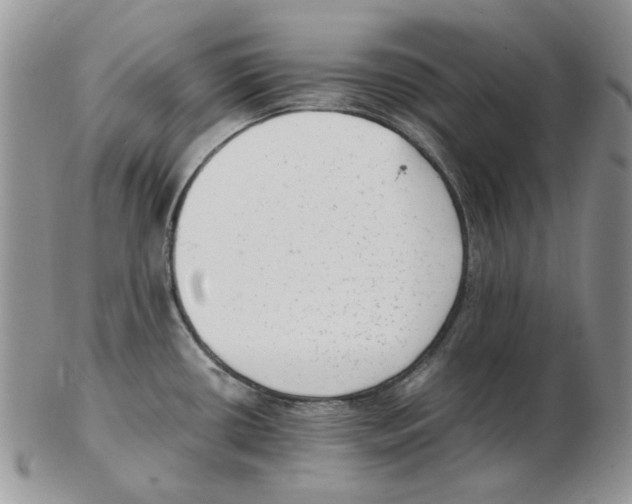 X0000102761434200809151004