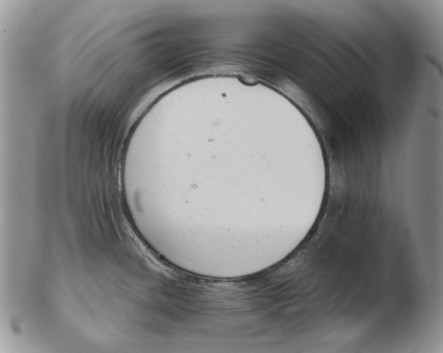 X0000102761436200809151004