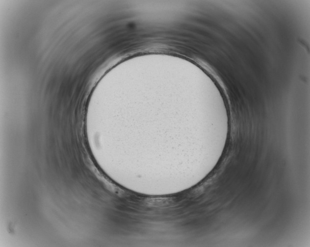 X0000102761437200809151004