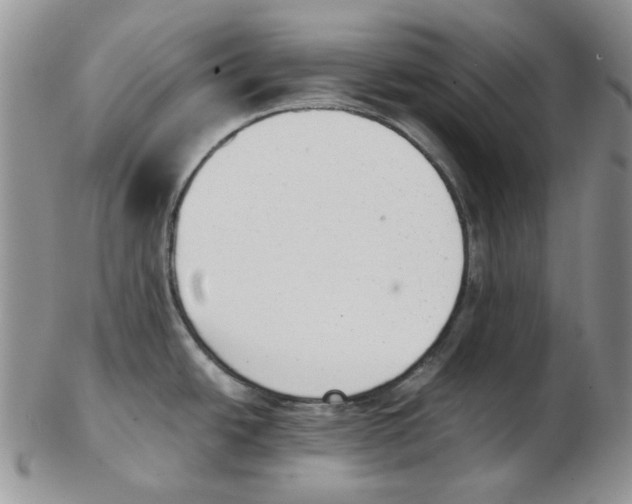 X0000102761438200809151004