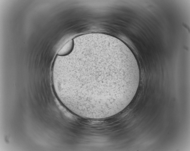 X0000102761439200809151004