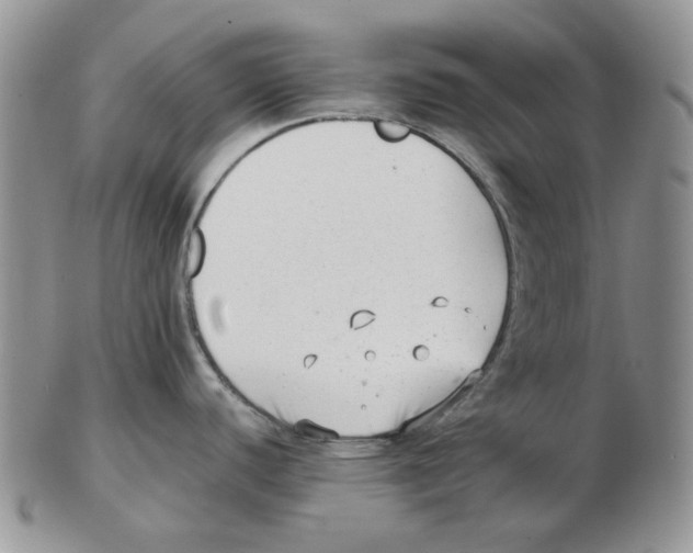 X0000102761440200809151004