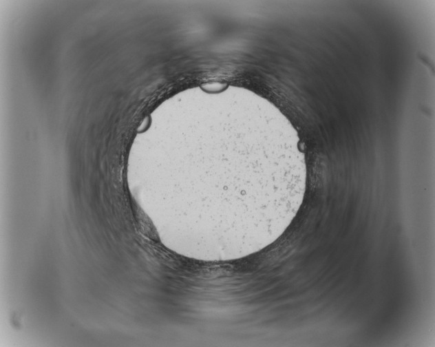 X0000102761441200809151003