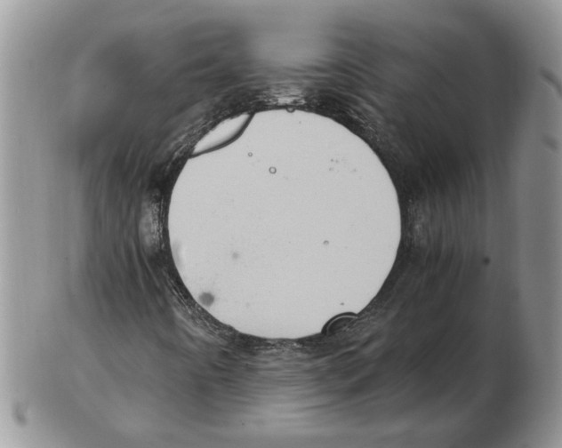 X0000102761442200809151003