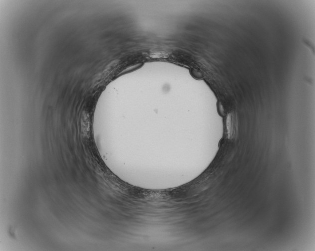 X0000102761443200809151003