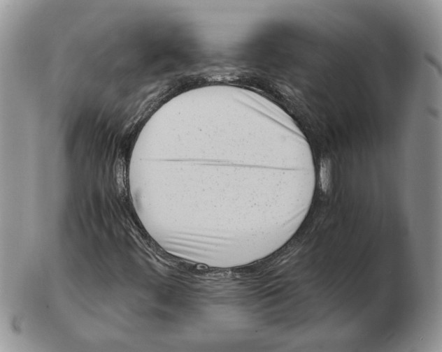 X0000102761444200809151003