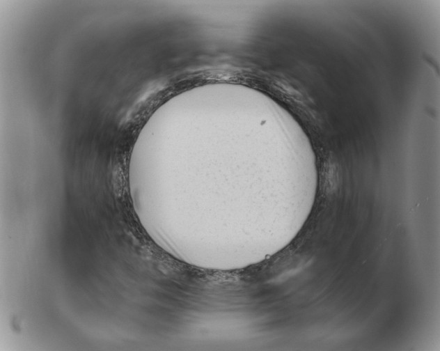 X0000102761446200809151003