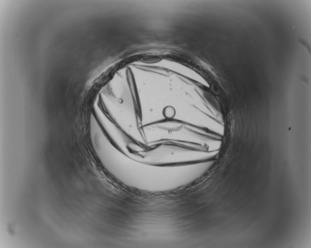 X0000102761448200809151003