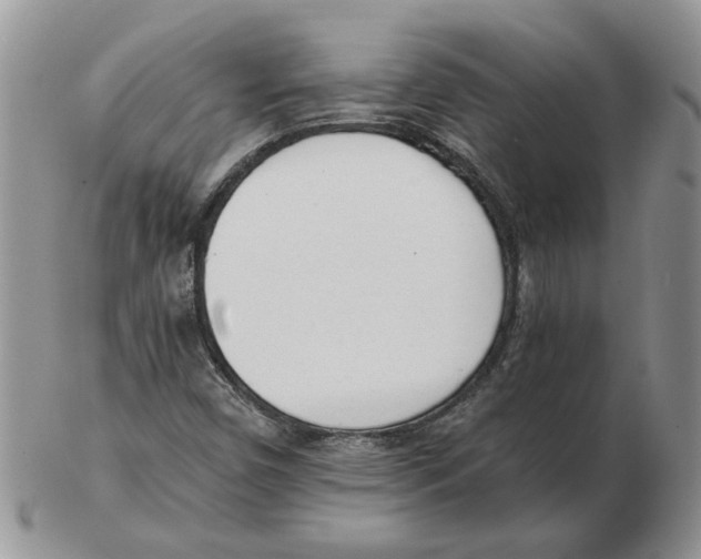 X0000102761450200809151003