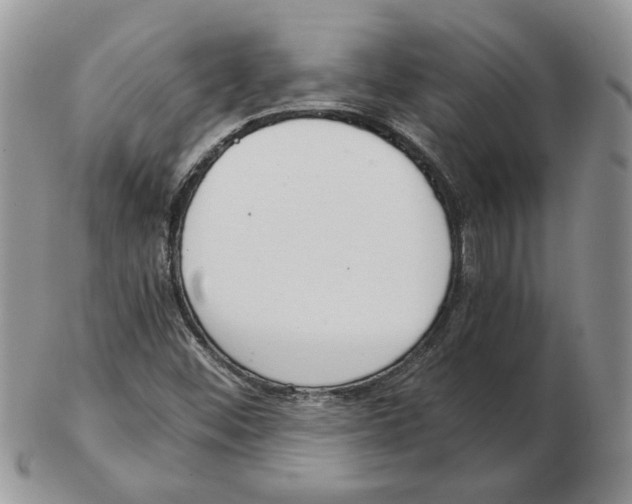 X0000102761452200809151003