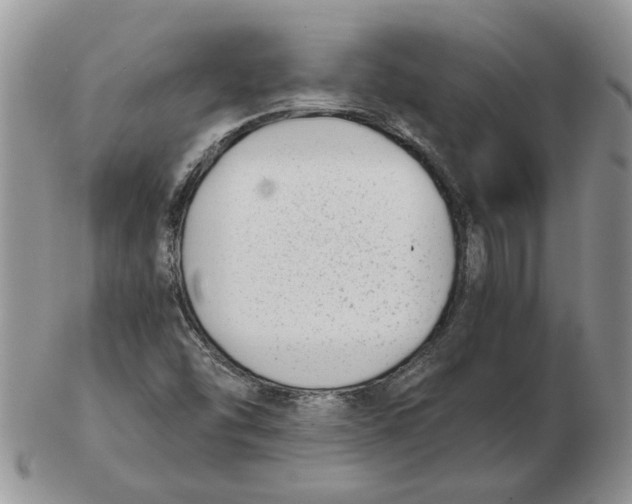 X0000102761454200809151003