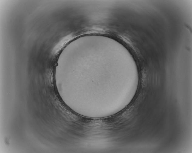 X0000102761455200809151003