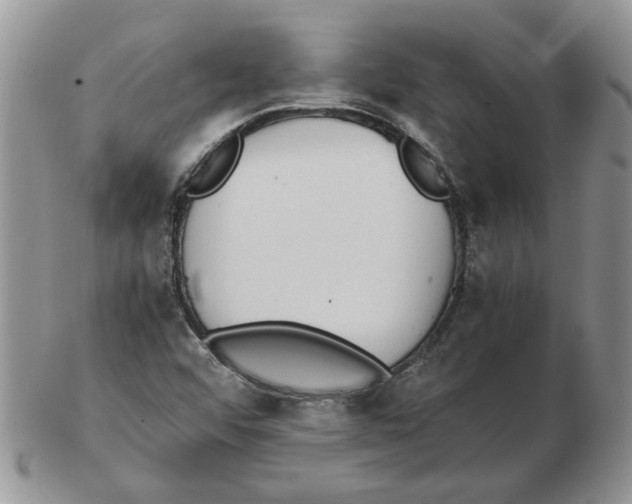 X0000102761456200809151003