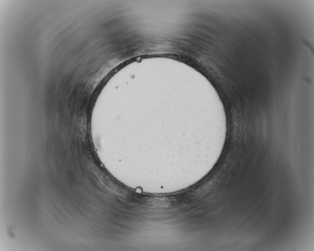 X0000102761457200809151003