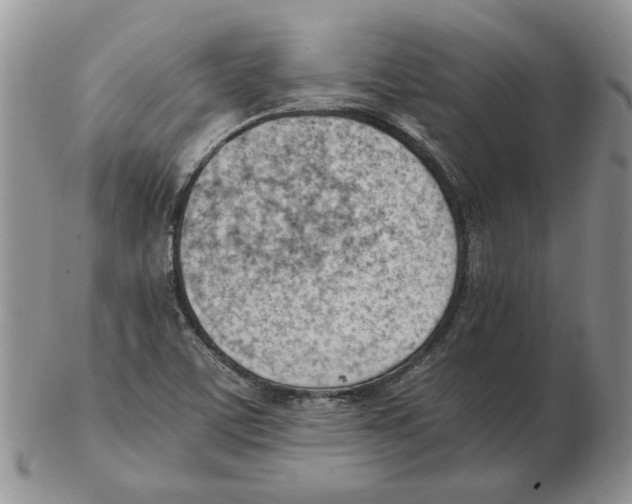 X0000102761459200809151003