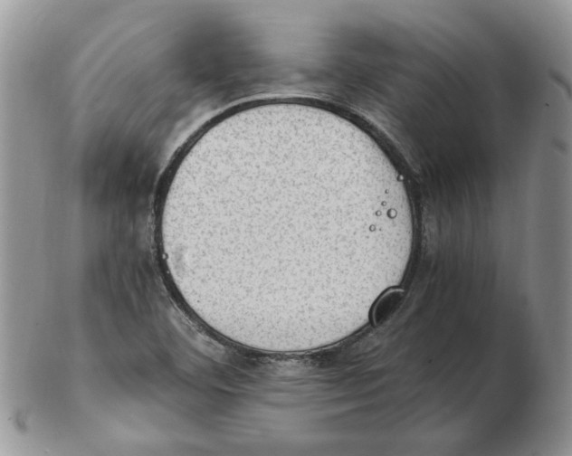 X0000102761460200809151003