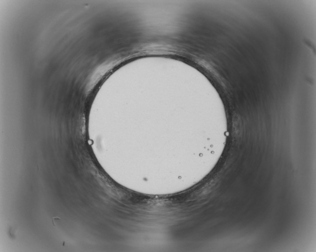 X0000102761461200809151003