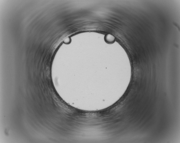 X0000102761465200809151003