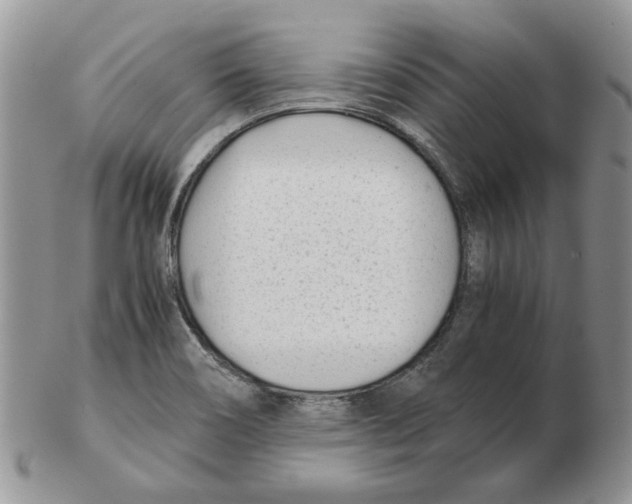 X0000102761466200809151003