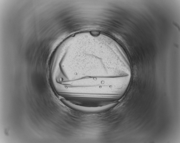 X0000102761467200809151003