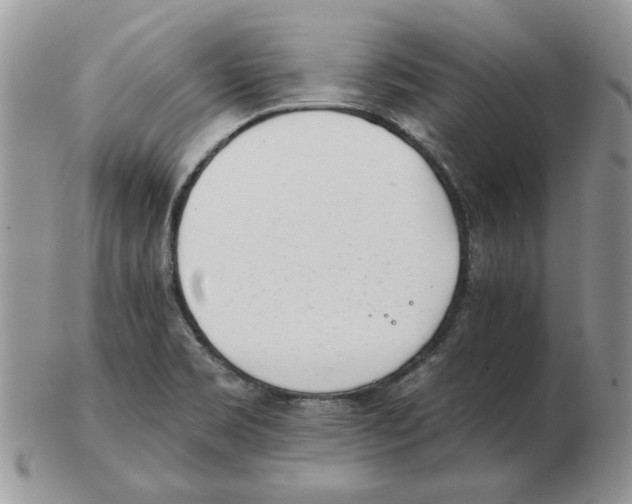 X0000102761469200809151003