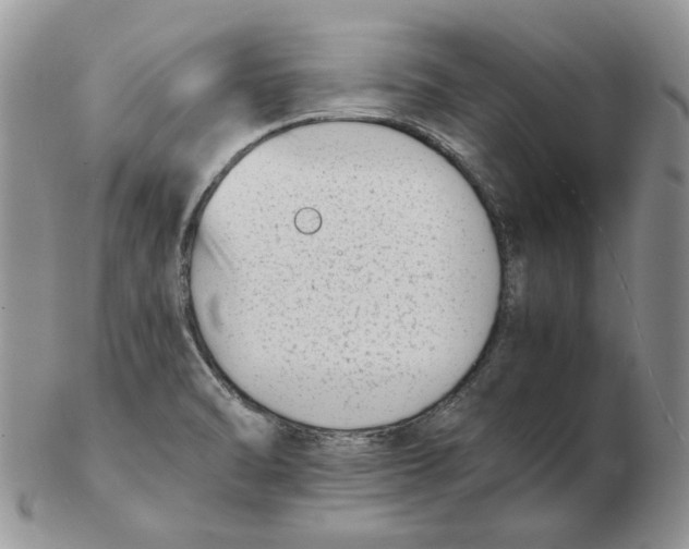 X0000102761470200809151003