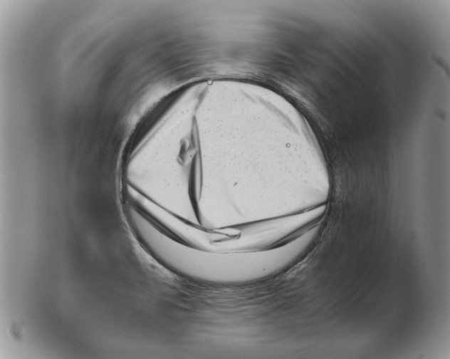 X0000102761471200809151003