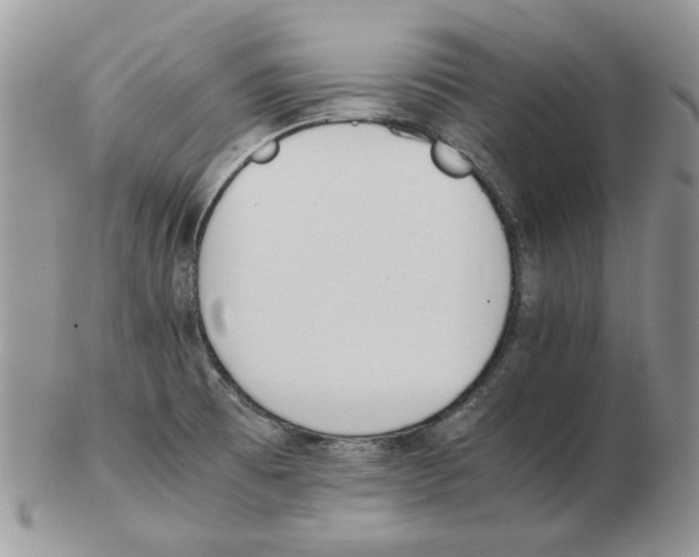 X0000102761473200809151003